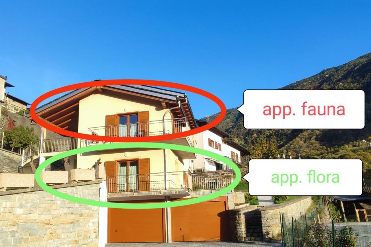 Pisolo Selvaggio Apartment Tirano Exterior photo
